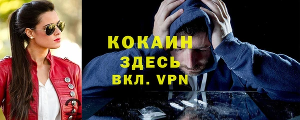 эйфоретик Арсеньев